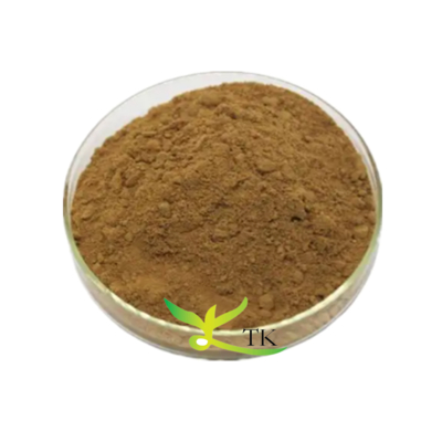 Toptan Fiyat Ücretsiz Örnek Yeşil Çay Saponin Ekstra Camellia Sinensis Ekstra Çay Saponin Toplu