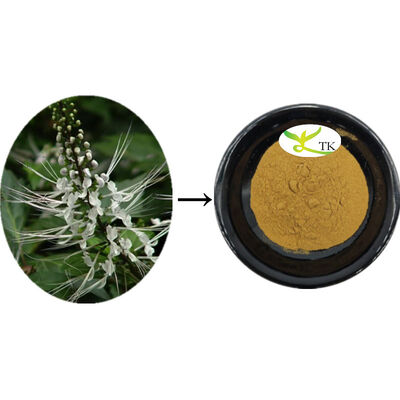 Doğal Orthosiphon Aristatus Ekstrakt Ortosiphon Yaprak Ekstraktı Toz Temizlik Kalkuli