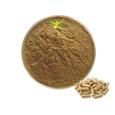 Doğal Ginkgo Flavonoidleri %24 Ginkgo Biloba Yaprağı Ekstresi Tozu
