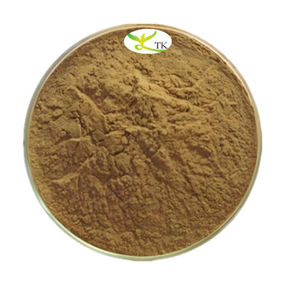 Doğal Bitki Ekstraksiyonu Alpinia Officinarum Ekstraksiyonu Galangal Kök Ekstraksiyonu Toz