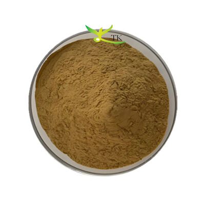 Fabrika Tedarikleri Bacopa Monnieri Extract 40% Bacopasides Tozu Brahmi Extract Tozu