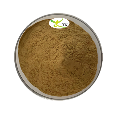 Çin Otları Andrographis Paniculata Ekstraksiyonu Andrographolide 20% 98% CAS 5508-58-7 Andrographolide