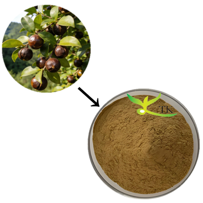 Cümle Fiyatı % 100 Doğal Camellia Sinensis Ekstraktı Toz Çay Saponin Ekstraktı Kozmetik İçin