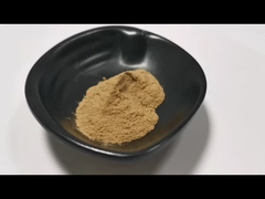 Gıda sınıfı en iyi fiyat Aloe Vera Tozu Doğal Aloe Vera Ekstraksiyon stokta