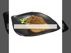 % 100 Doğal Fructus Schisandrae Ekstraktı Tozu Schisandra Chinensis Ekstraktı Fiyatı