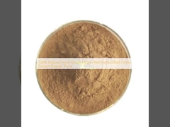 %100 Doğal Gıda Sınıfı Soğan Kabuğu Ekstresi Kırmızı Soğan Ekstresi Tozu Fiyatı