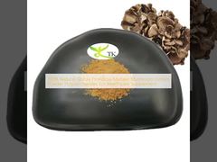 %100 Doğal Grifola Frondosa Maitake Mantarı Ekstresi Tozu Polisakkaritler Sağlık Takviyesi İçin