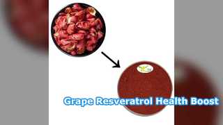 Üzüm Kabuğu Resveratrol %5 %10 Toptan Satış